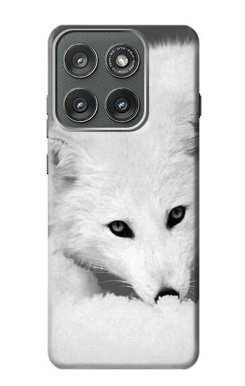 S2569 White Arctic Fox Hülle Schutzhülle Taschen für Motorola Edge (2025)