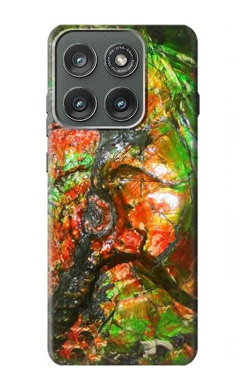 S2694 Ammonite Fossil Hülle Schutzhülle Taschen für Motorola Edge (2025)