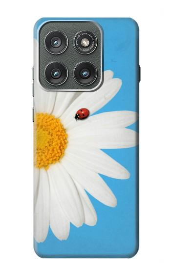 S3043 Vintage Daisy Lady Bug Hülle Schutzhülle Taschen für Motorola Edge (2025)