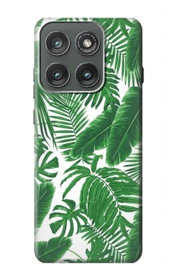 S3457 Paper Palm Monstera Hülle Schutzhülle Taschen für Motorola Edge (2025)