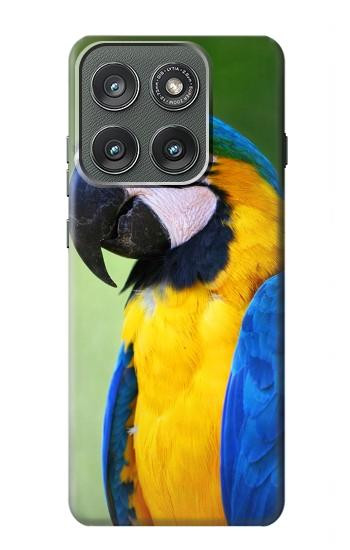 S3888 Macaw Face Bird Hülle Schutzhülle Taschen für Motorola Edge (2025)