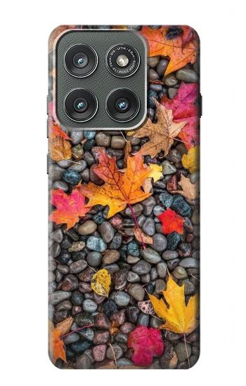 S3889 Maple Leaf Hülle Schutzhülle Taschen für Motorola Edge (2025)