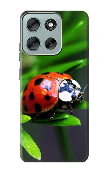 S0263 Ladybug Hülle Schutzhülle Taschen für Motorola Moto G56