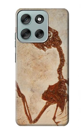 S0379 Dinosaur Fossil Hülle Schutzhülle Taschen für Motorola Moto G56