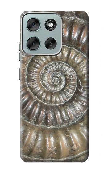 S1788 Ammonite Fossil Hülle Schutzhülle Taschen für Motorola Moto G56