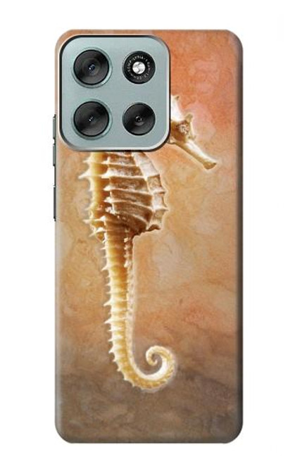 S2674 Seahorse Skeleton Fossil Hülle Schutzhülle Taschen für Motorola Moto G56 S2674 Seahorse Skeleton Fossil Hülle Schutzhülle Taschen für Motorola Moto G56