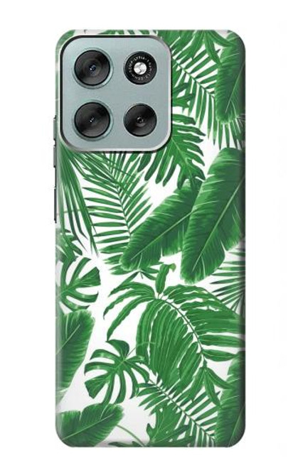 S3457 Paper Palm Monstera Hülle Schutzhülle Taschen für Motorola Moto G56
