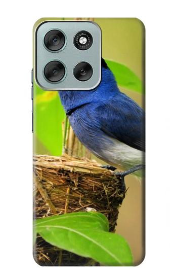 S3839 Bluebird of Happiness Blue Bird Hülle Schutzhülle Taschen für Motorola Moto G56