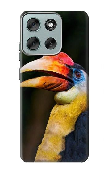 S3876 Colorful Hornbill Hülle Schutzhülle Taschen für Motorola Moto G56