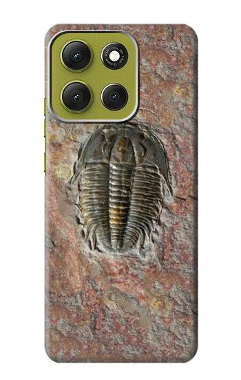 S1454 Trilobite Fossil Hülle Schutzhülle Taschen für Motorola Moto G86