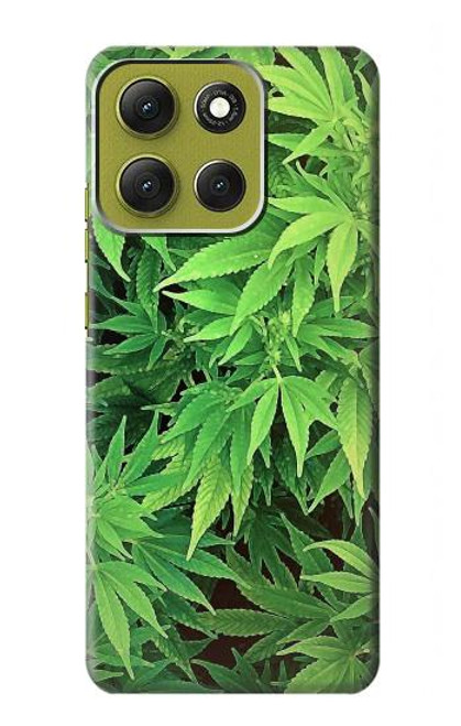 S1656 Marijuana Plant Hülle Schutzhülle Taschen für Motorola Moto G86 S1656 Marijuana Plant Hülle Schutzhülle Taschen für Motorola Moto G86