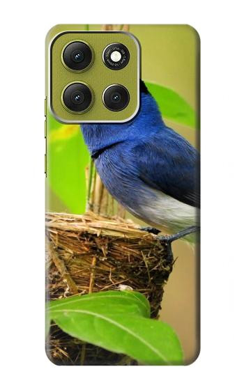 S3839 Bluebird of Happiness Blue Bird Hülle Schutzhülle Taschen für Motorola Moto G86