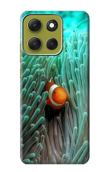S3893 Ocellaris clownfish Hülle Schutzhülle Taschen für Motorola Moto G86