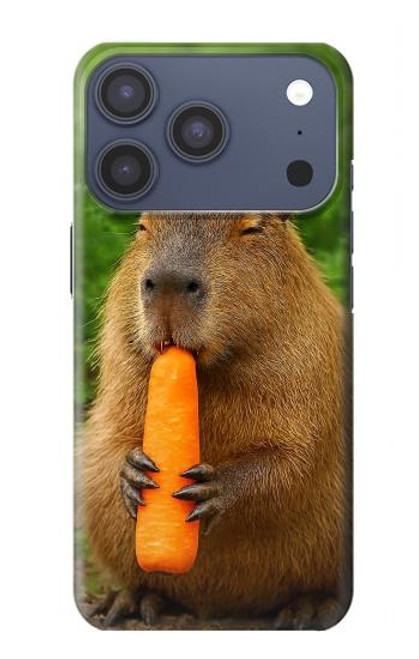 S4068 Capybara Butterfly Hülle Schutzhülle Taschen für iPhone 17 Pro