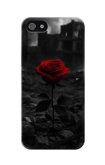 S4048 Red Rose Ruins Hülle Schutzhülle Taschen für iPhone 5 5S SE