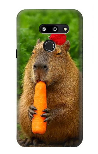 S4068 Capybara Butterfly Hülle Schutzhülle Taschen für LG G8 ThinQ