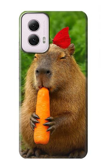 S4068 Capybara Butterfly Hülle Schutzhülle Taschen für Motorola Moto G Power 5G (2024)