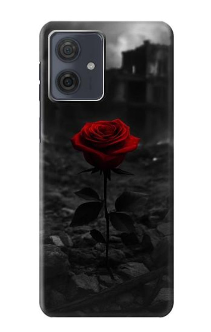 S4048 Red Rose Ruins Hülle Schutzhülle Taschen für Motorola Moto G54