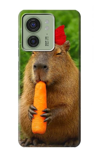 S4068 Capybara Butterfly Hülle Schutzhülle Taschen für Motorola Edge (2023), Edge 40