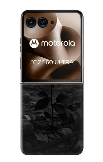 S4048 Red Rose Ruins Hülle Schutzhülle Taschen für Motorola Razr 70 Ultra, 60 Ultra, 50 Ultra, Ultra 2026, Ultra 2025
