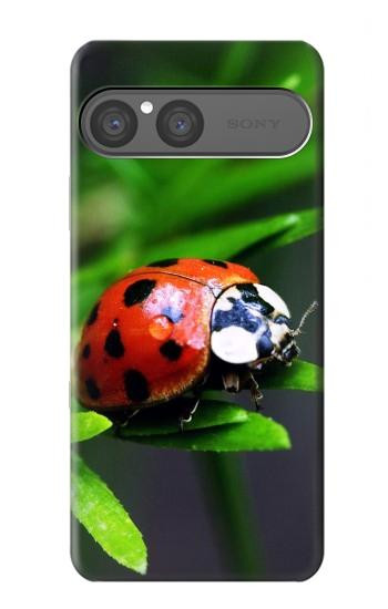 S0263 Ladybug Hülle Schutzhülle Taschen für Sony Xperia 10 VII