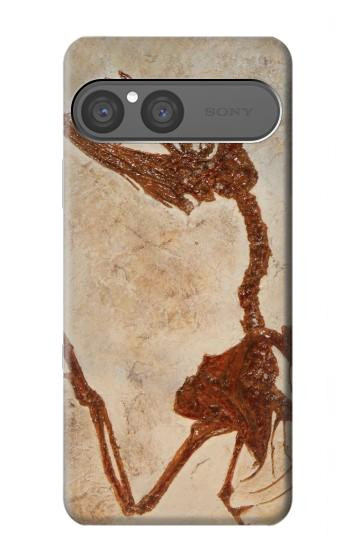 S0379 Dinosaur Fossil Hülle Schutzhülle Taschen für Sony Xperia 10 VII