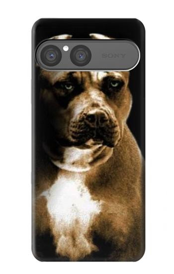 S0520 PitBull Hülle Schutzhülle Taschen für Sony Xperia 10 VII, 10 VIII