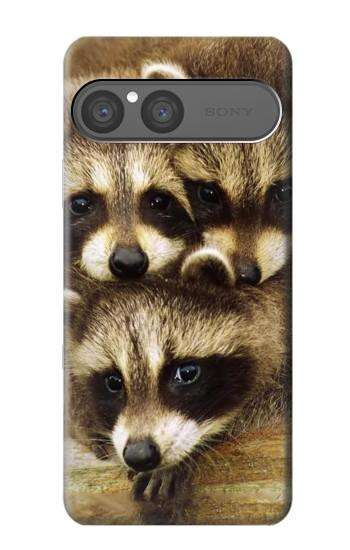 S0977 Baby Raccoons Hülle Schutzhülle Taschen für Sony Xperia 10 VII