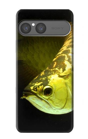S1021 Gold Arowana Fish Hülle Schutzhülle Taschen für Sony Xperia 10 VII