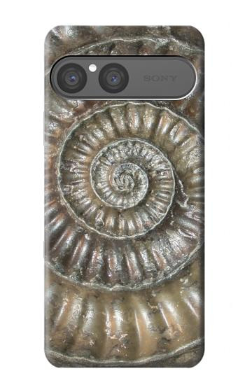 S1788 Ammonite Fossil Hülle Schutzhülle Taschen für Sony Xperia 10 VII