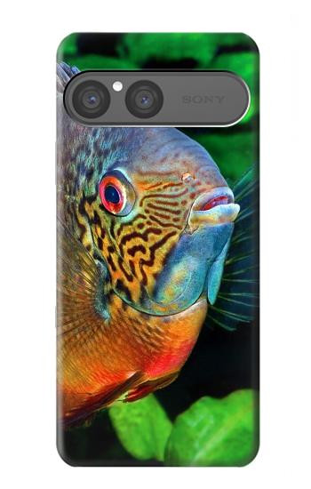 S1812 Cichlid Fish Hülle Schutzhülle Taschen für Sony Xperia 10 VII