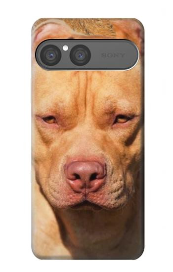 S2903 American Pitbull Dog Hülle Schutzhülle Taschen für Sony Xperia 10 VII, 10 VIII