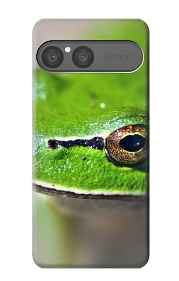 S3845 Green frog Hülle Schutzhülle Taschen für Sony Xperia 10 VII, 10 VIII
