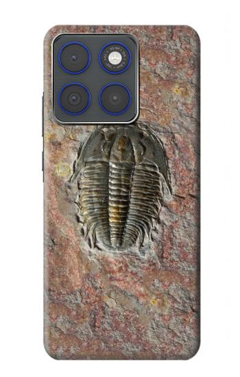 S1454 Trilobite Fossil Hülle Schutzhülle Taschen für Motorola Edge 70