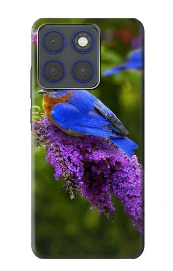 S1565 Bluebird of Happiness Blue Bird Hülle Schutzhülle Taschen für Motorola Edge 70