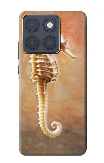 S2674 Seahorse Skeleton Fossil Hülle Schutzhülle Taschen für Motorola Edge 70