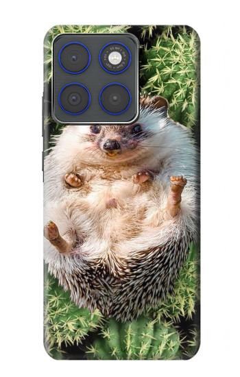 S3863 Pygmy Hedgehog Dwarf Hedgehog Paint Hülle Schutzhülle Taschen für Motorola Edge 70