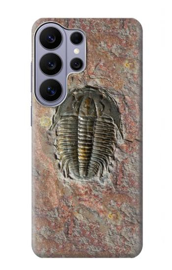 S1454 Trilobite Fossil Hülle Schutzhülle Taschen für Samsung Galaxy S26 Ultra