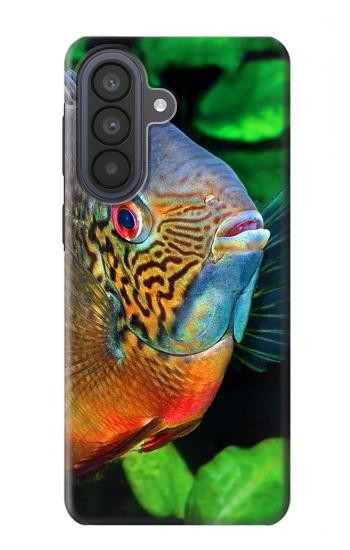 S1812 Cichlid Fish Hülle Schutzhülle Taschen für Samsung Galaxy A57