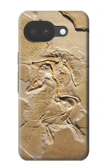 S0380 Dinosaur Fossil Hülle Schutzhülle Taschen für Google Pixel 10a