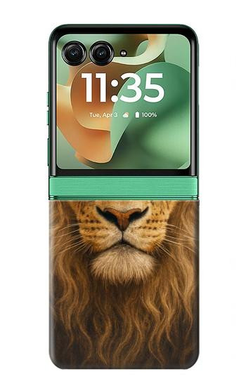 S4093 Royal Lion Portrait Artwork Hülle Schutzhülle Taschen für Motorola Razr 70+,60+, Razr+ (2026, 2025, 2024)