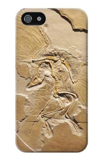 S0380 Dinosaur Fossil Hülle Schutzhülle Taschen für iPhone 5 5S SE