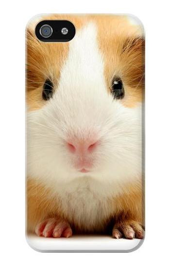 S1619 Cute Guinea Pig Hülle Schutzhülle Taschen für iPhone 5 5S SE