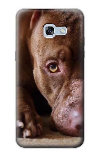 S0519 PitBull Face Hülle Schutzhülle Taschen für Samsung Galaxy A5 (2017)