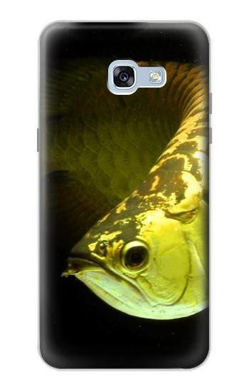 S1021 Gold Arowana Fish Hülle Schutzhülle Taschen für Samsung Galaxy A5 (2017)