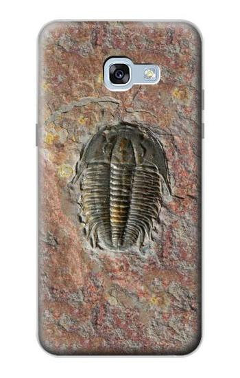 S1454 Trilobite Fossil Hülle Schutzhülle Taschen für Samsung Galaxy A5 (2017)