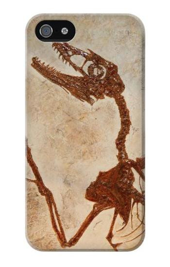S0379 Dinosaur Fossil Hülle Schutzhülle Taschen für iPhone 5 5S SE