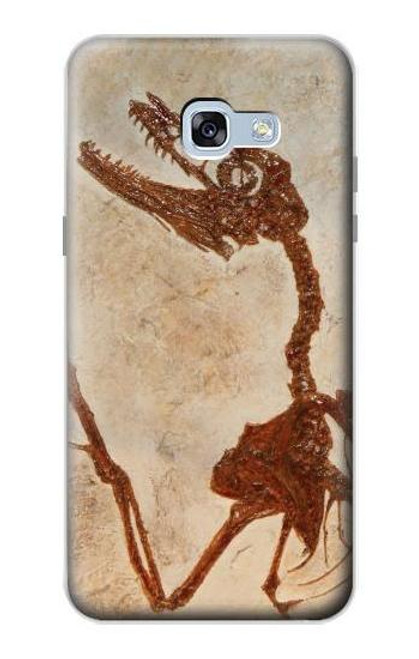 S0379 Dinosaur Fossil Hülle Schutzhülle Taschen für Samsung Galaxy A5 (2017)