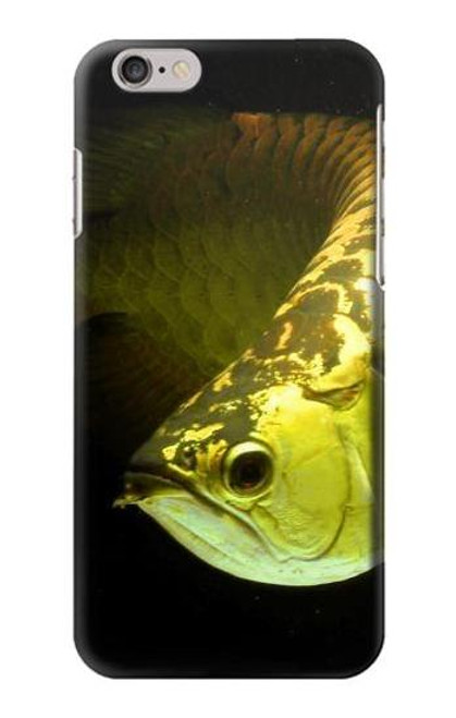 S1021 Gold Arowana Fish Hülle Schutzhülle Taschen für iPhone 6 6S