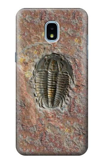 S1454 Trilobite Fossil Hülle Schutzhülle Taschen für Samsung Galaxy J3 (2018), J3 Star, J3 V 3rd Gen, J3 Orbit, J3 Achieve, Express Prime 3, Amp Prime 3